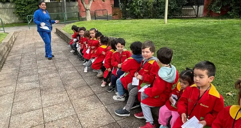 Simulacro externo